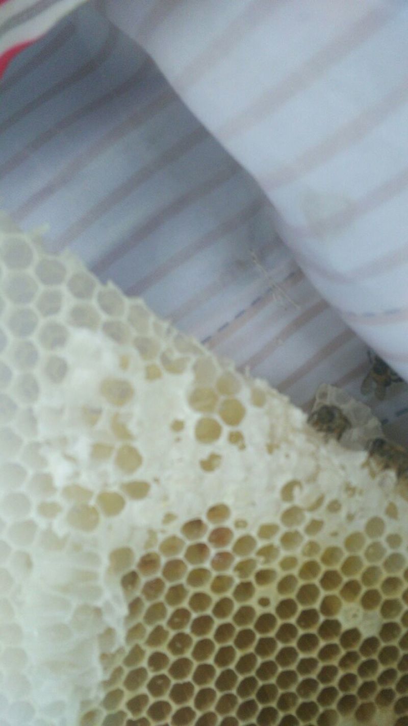 野生蜂蜜，蜂蜜界的晶品。
