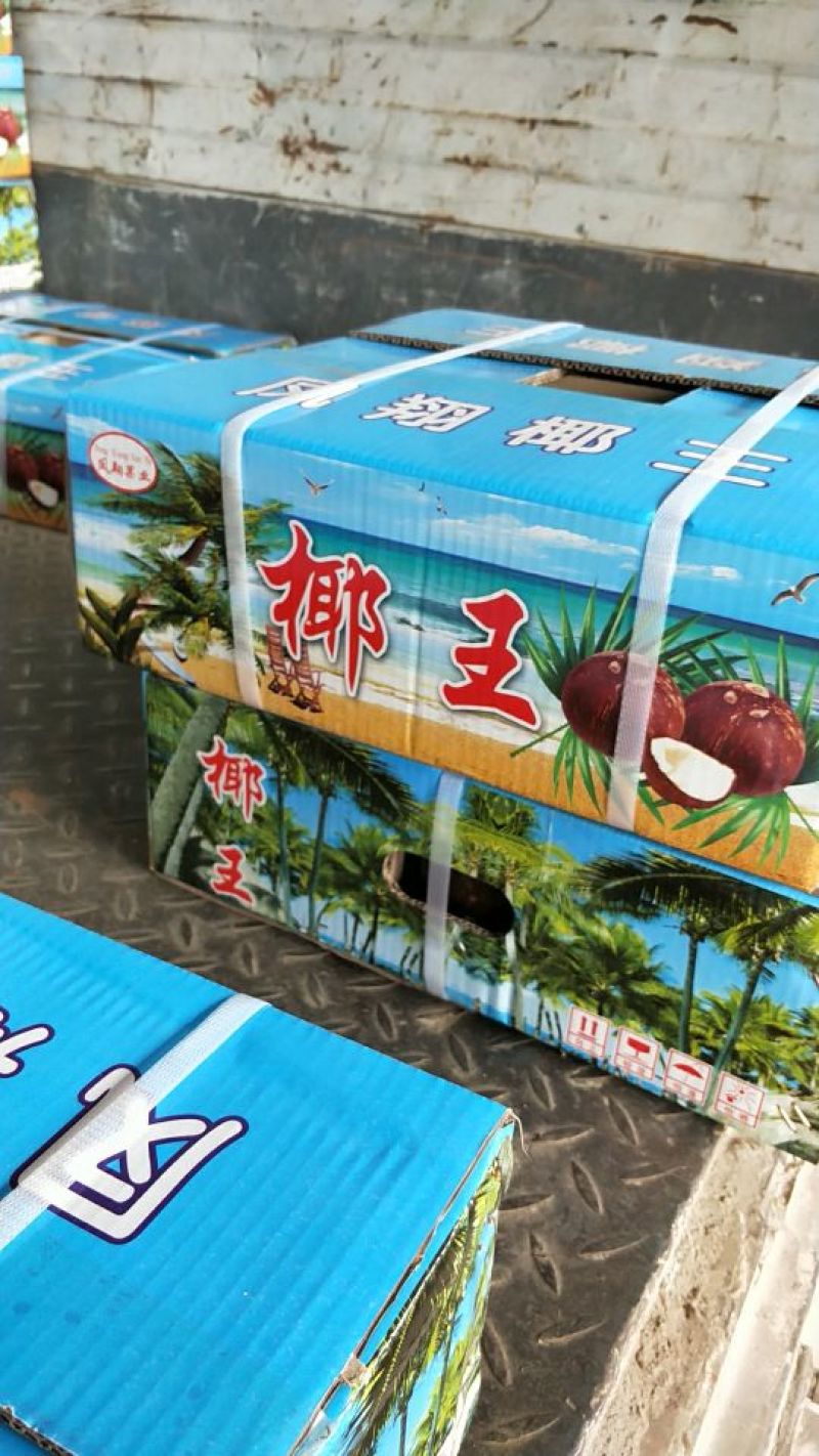 纯天然泰国椰子