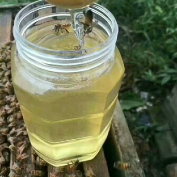 纯天然蜂蜜