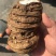 粉质重楼统个干货白心重楼