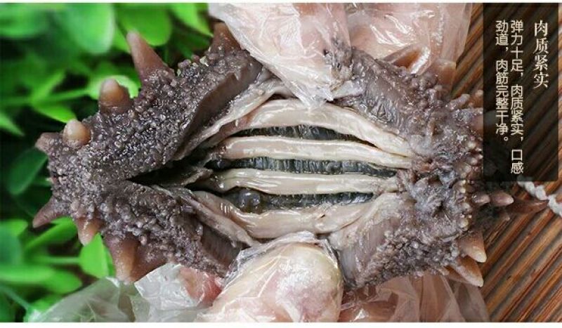 即食海参8-10一斤