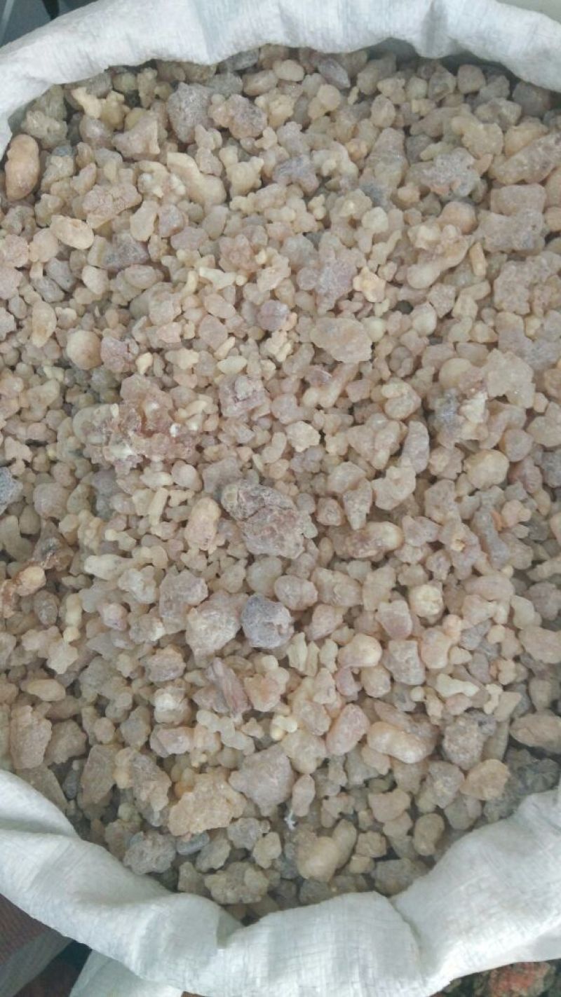 乳香珠——优质精选