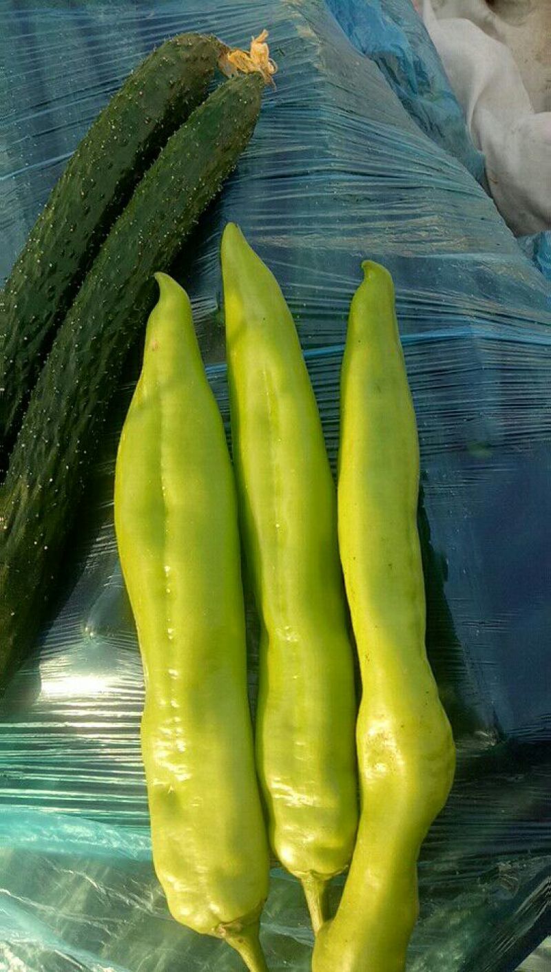 大青椒4cm以上现货，大量上市