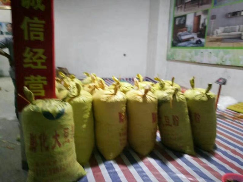 草莲子新鲜莲子鲜莲子，大颗粒产地种植户合作社直接批发