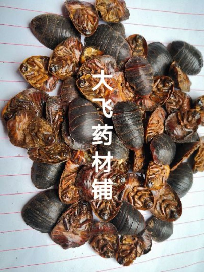 土元土鳖虫山东1公斤起批无硫无添加不包邮