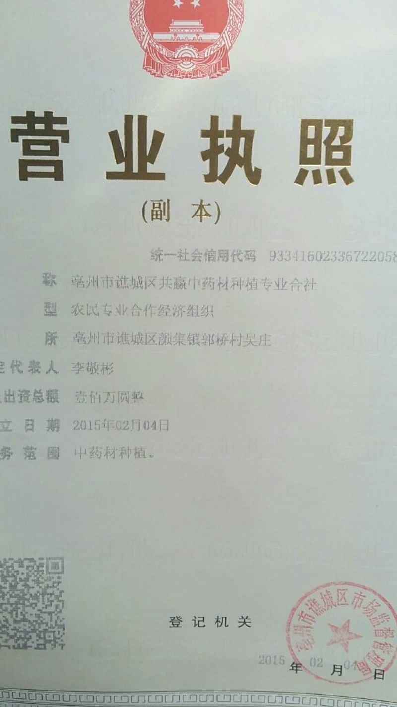 乳香珠——优质精选