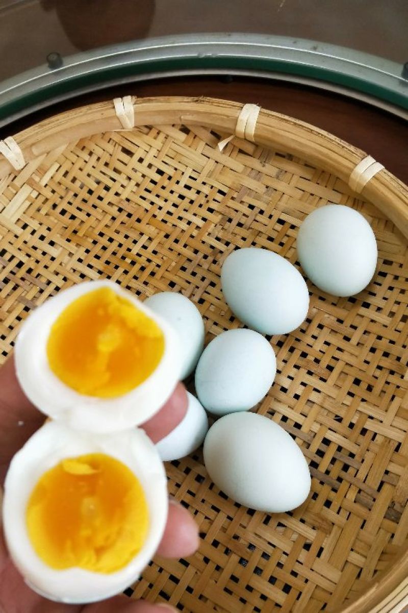 长顺绿壳鸡蛋(地理标志产品)