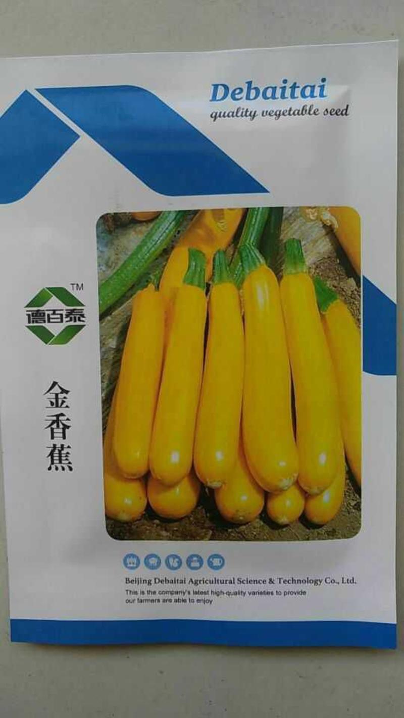 【山东潍坊寿光】香蕉西葫芦潍坊昌乐金香蕉