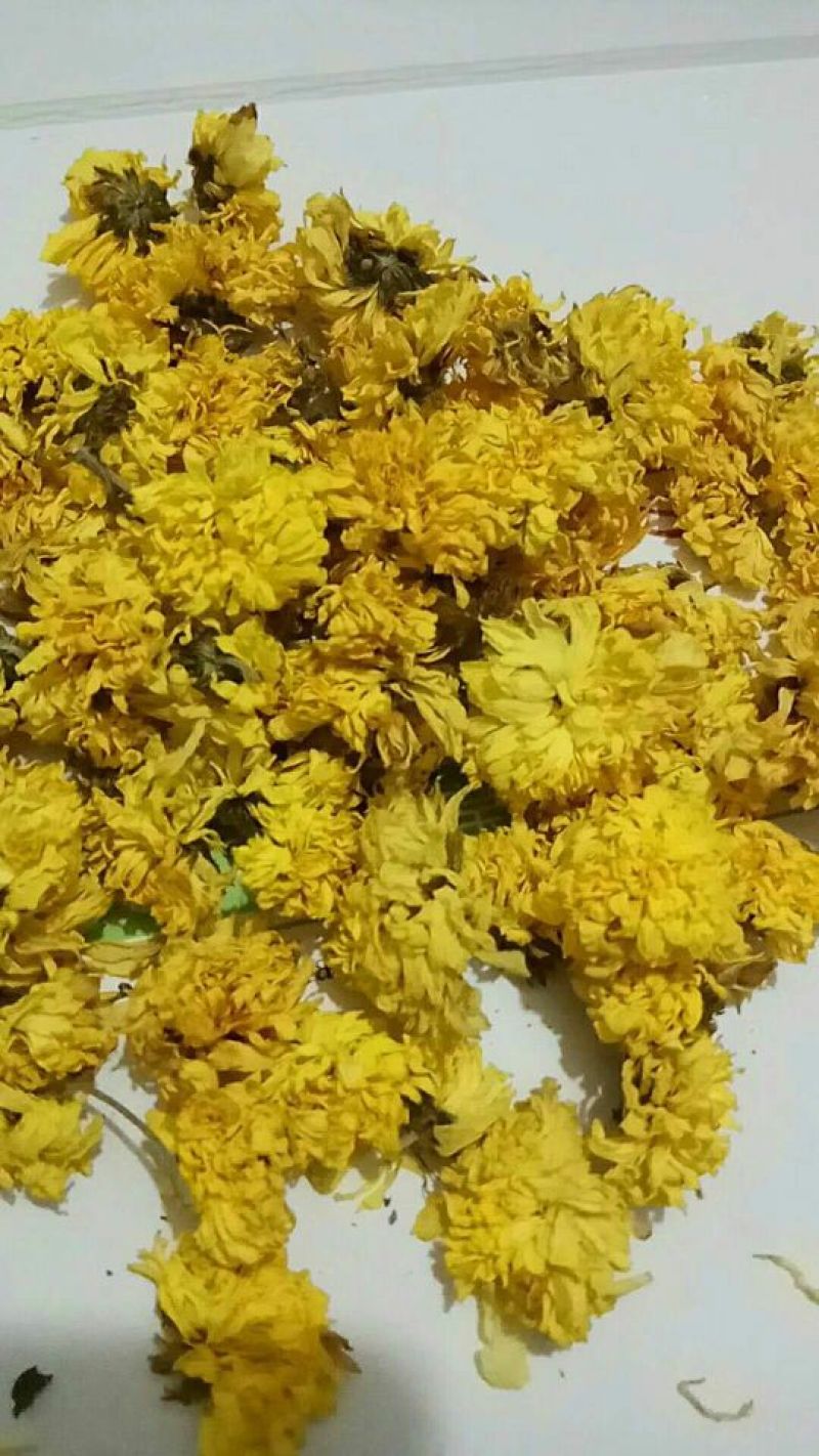 正宗无硫怀菊花