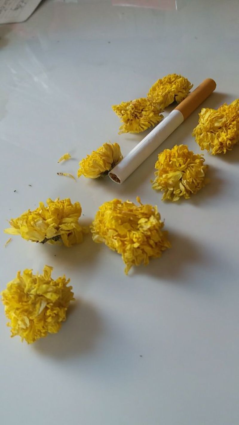 正宗无硫怀菊花