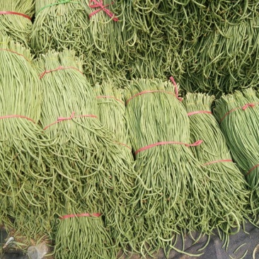 露地精品长豆角