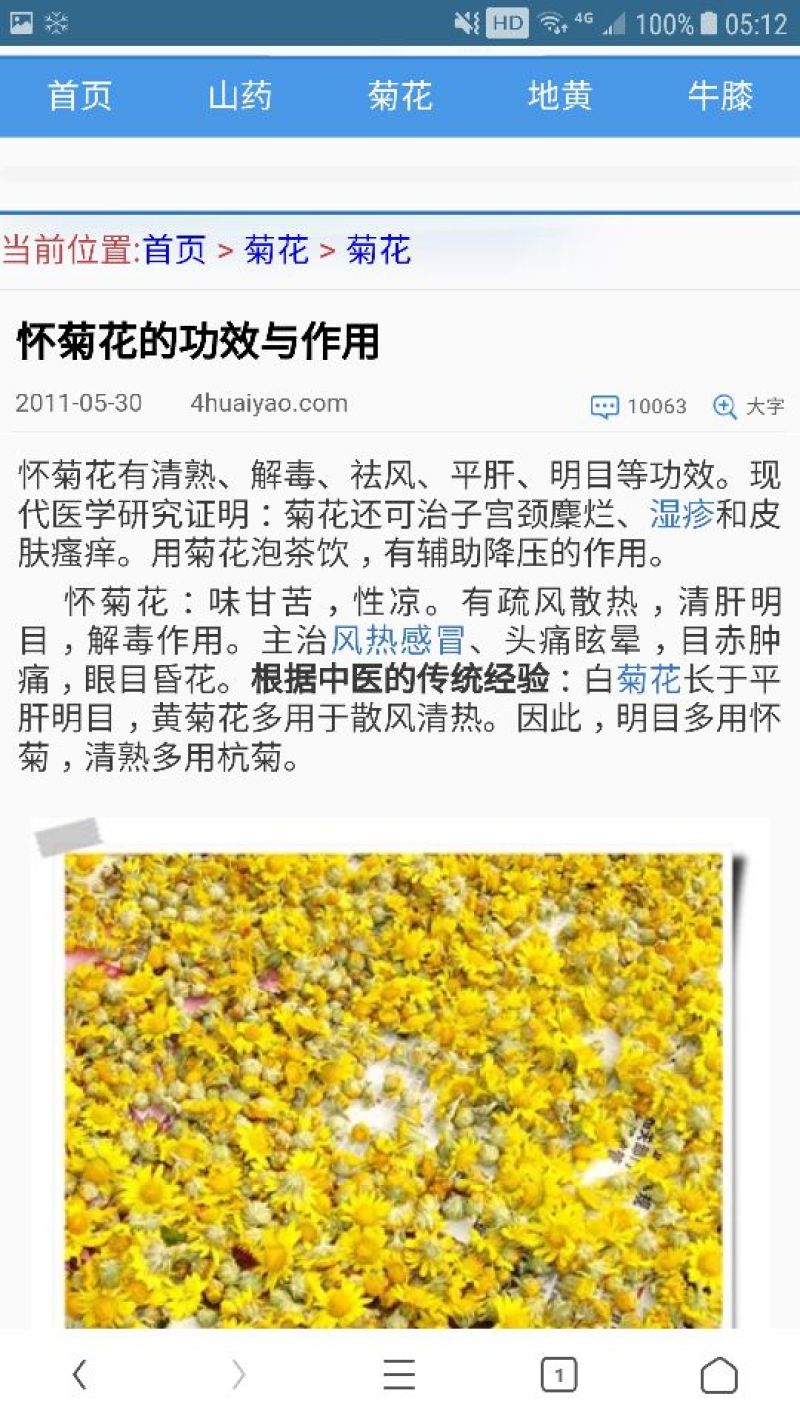 怀菊花