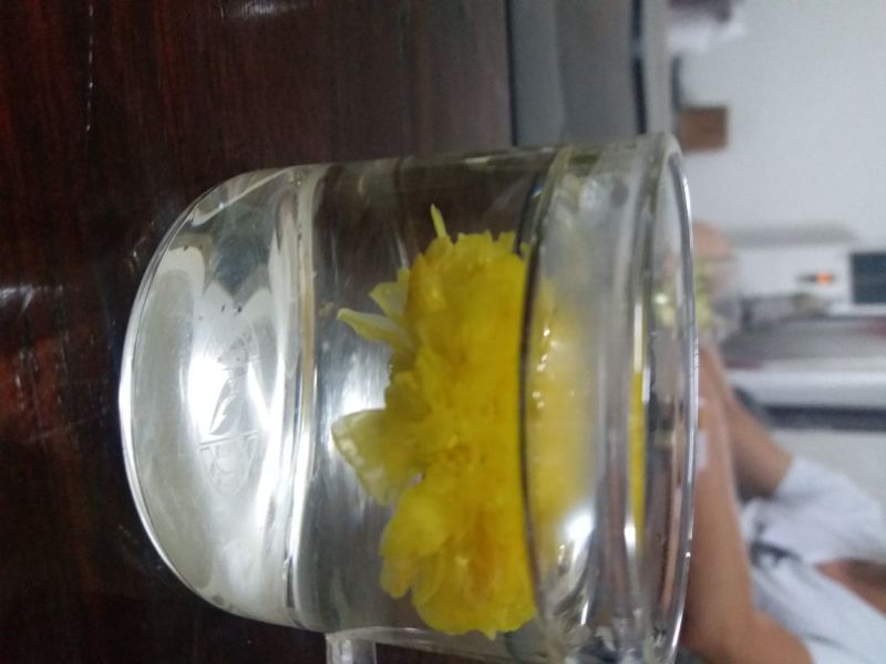怀菊花