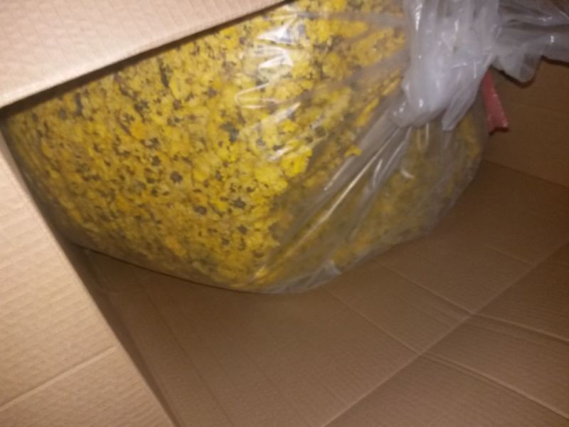 怀菊花