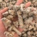三七60头选货干货