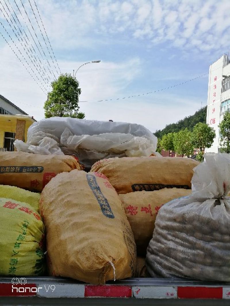 恩施州巴东县富硒小土豆