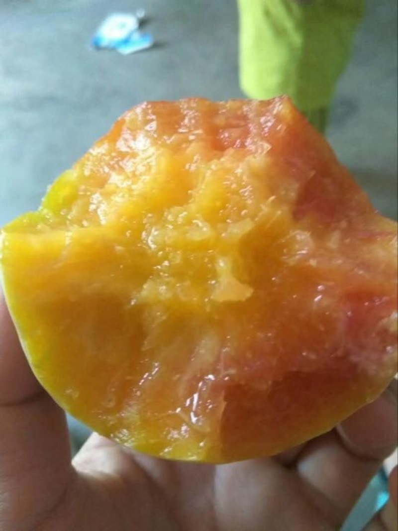 黄金黄桃3~4两