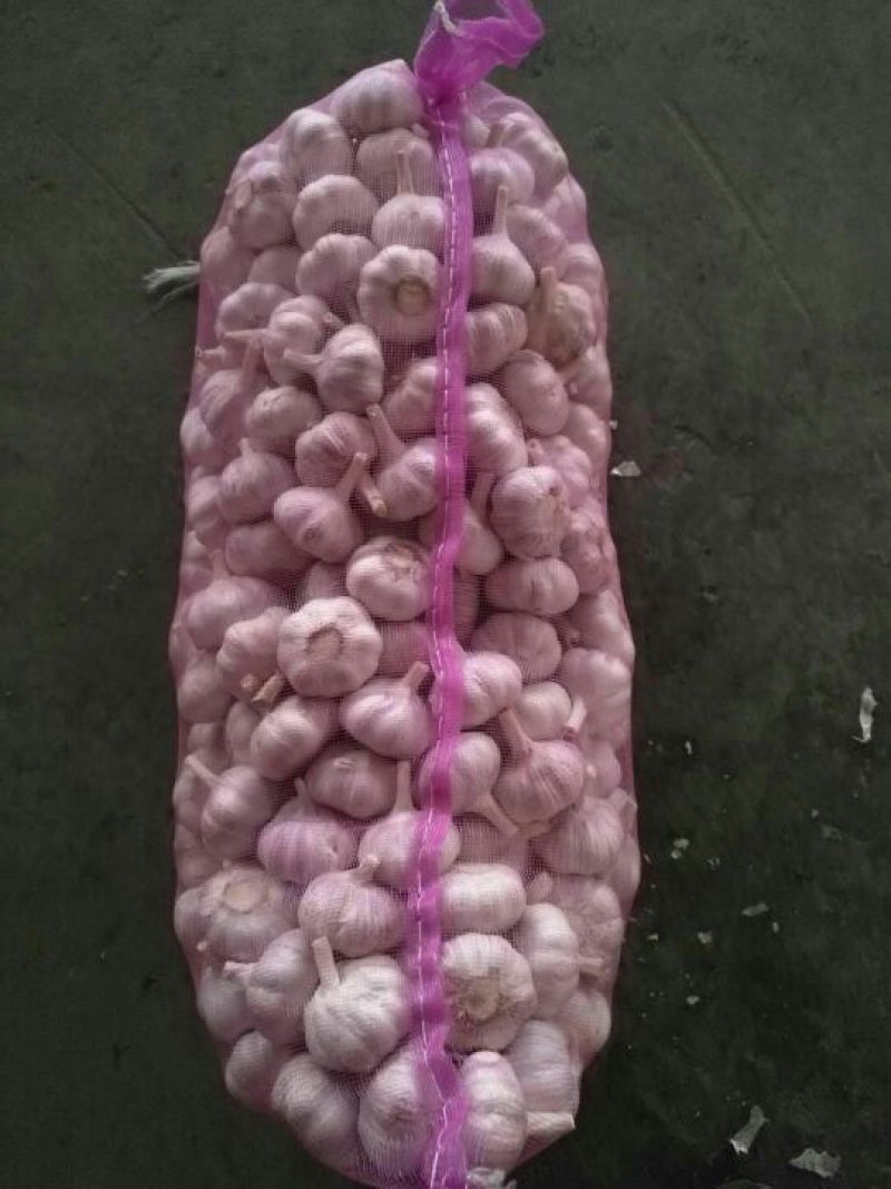 金乡大蒜，代收代卖代加工带储存，提供配资