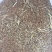 小麦12.5%以下
