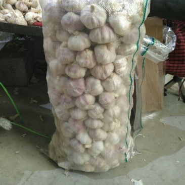 金乡大蒜代收带储存代加工，大型冷库出租，实力配资