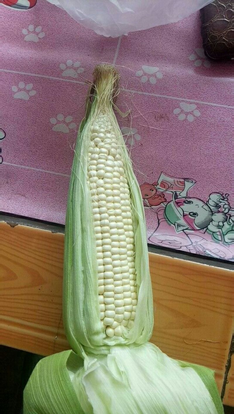 粘玉米