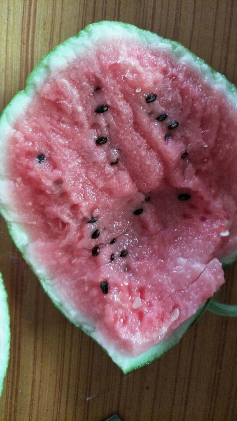 美都无籽，二茬瓜。小西瓜🍉。盐城种植基地。