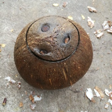 椰盅椰子炖鸡