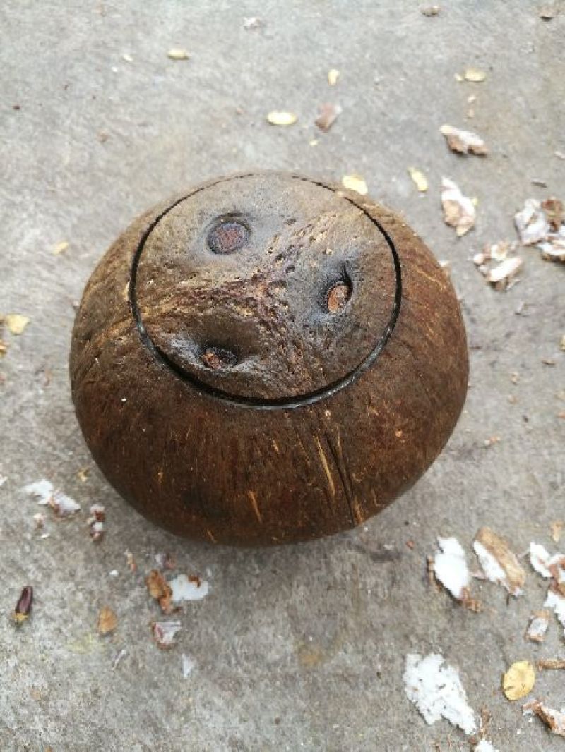 椰盅椰子炖鸡