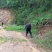 一手优质货源老山老龄毛竹万亩产地直销货源充足欢迎电联