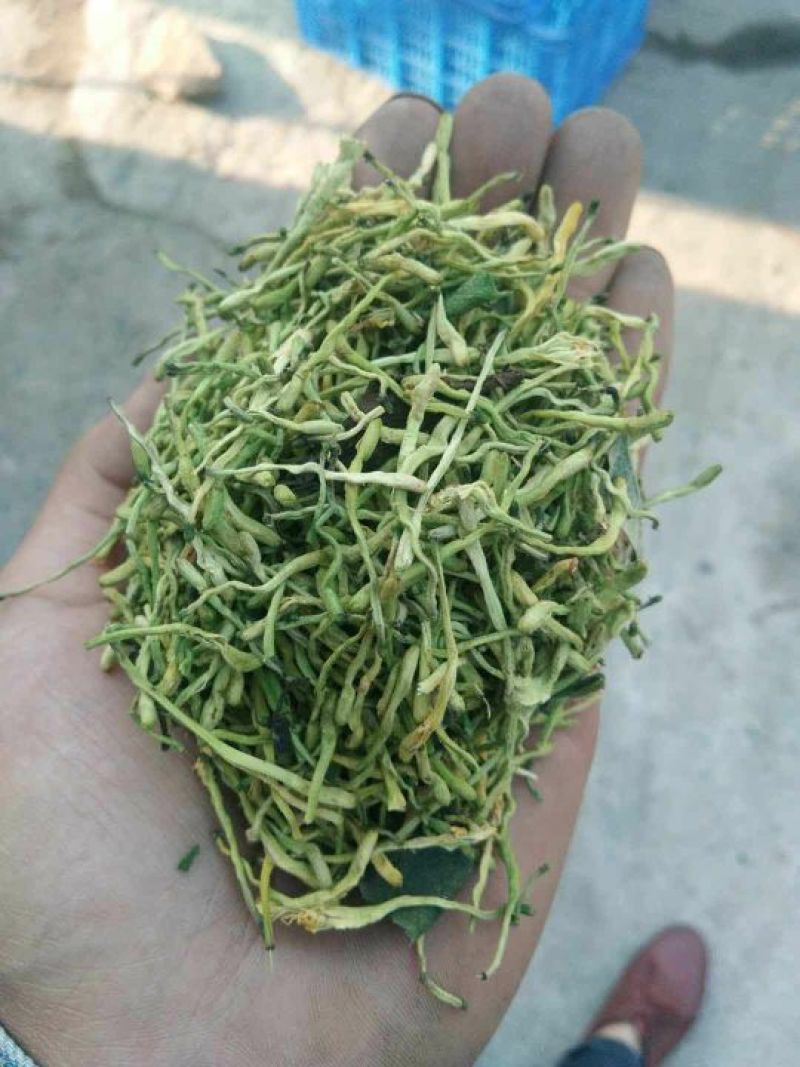 湖南金银花茶系列（花蕾）