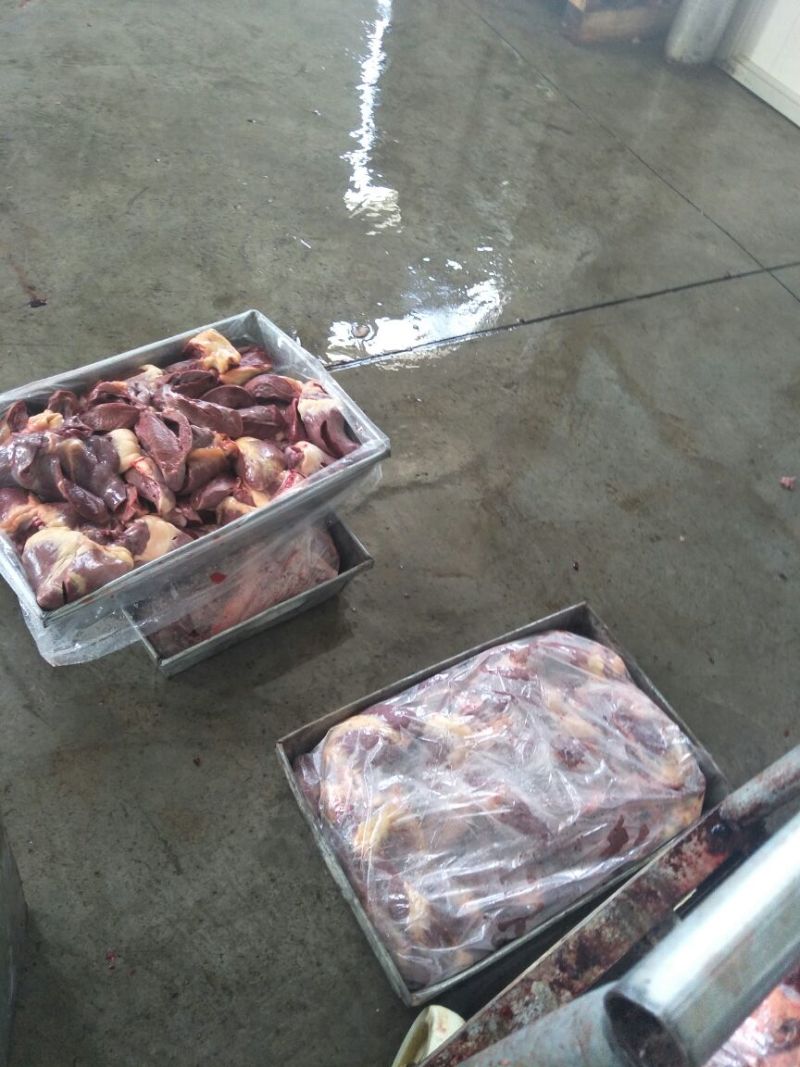 百分百纯驴肉，假一罚百