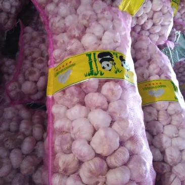 金杞大蒜，精品质量，混级全干