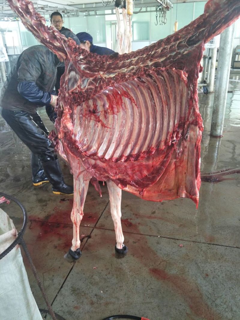驴肉，驴杂