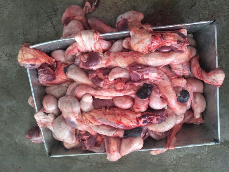 驴肉，驴杂