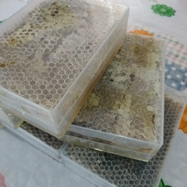 山东洋槐蜜