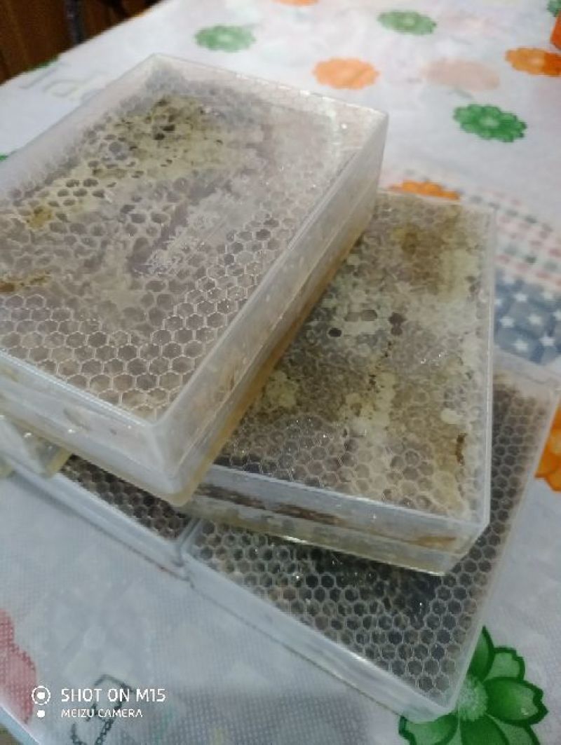 山东洋槐蜜