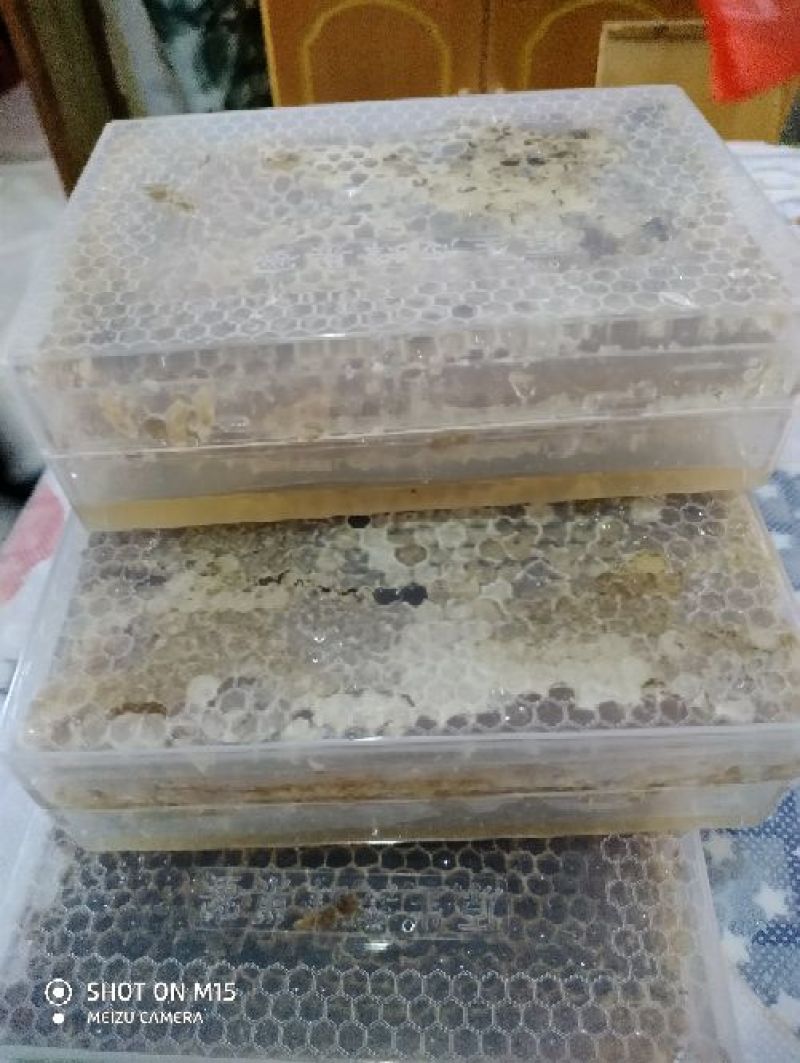 山东洋槐蜜