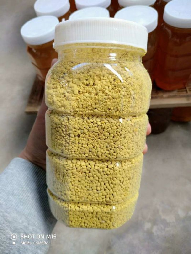 山东洋槐蜜