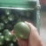 青柠檬2~2.6两