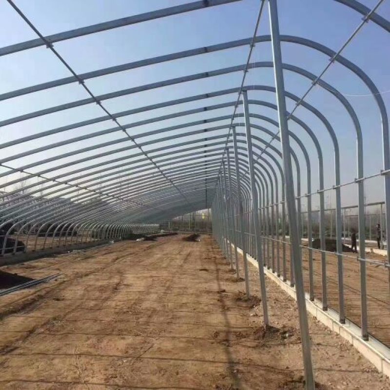 厂家定制无支柱椭圆管养殖大棚骨架种植大棚坚固耐用价格实恵
