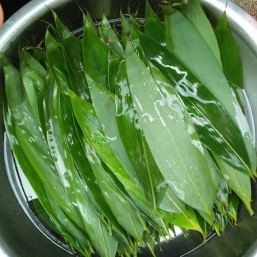 竹叶现有50/10公分大竹叶
