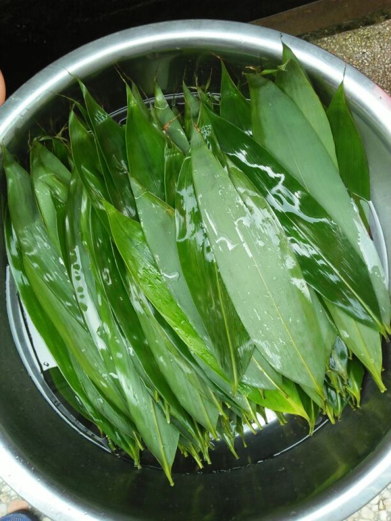 竹叶现有50/10公分大竹叶