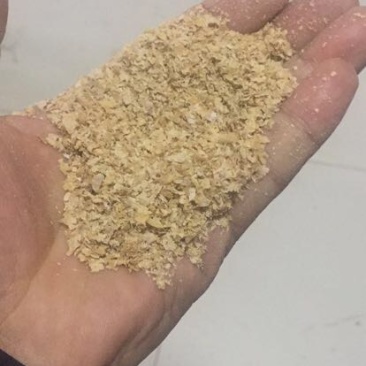 麦麸饲料
