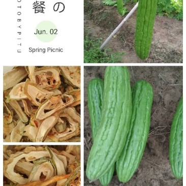 苦瓜干，现晒现卖。