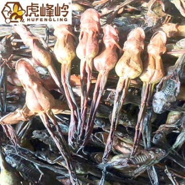 林蛙干批发全国招代理