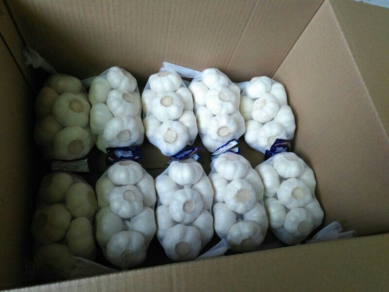 金乡紫红皮大蒜，代收带储存代加工，提供配资