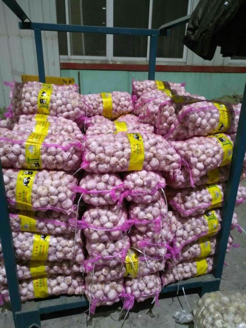 金乡紫红皮大蒜，代收带储存代加工，提供配资