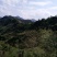 荒山求租