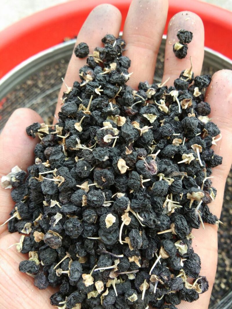 黑枸杞中颗粒罐装