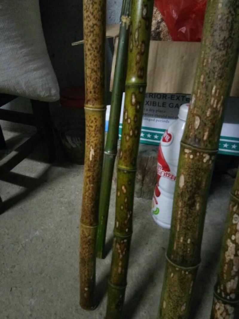 斑竹，烟熏竹